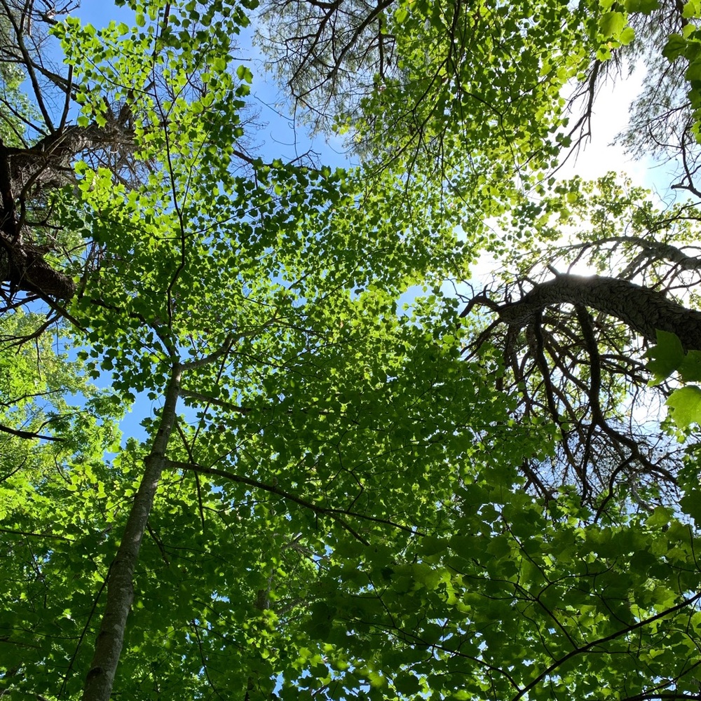 Meet your Posher, May